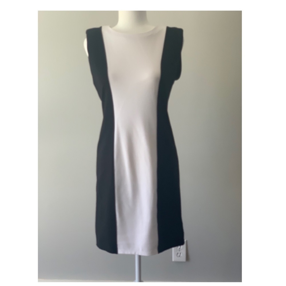 Alice and Olivia dress